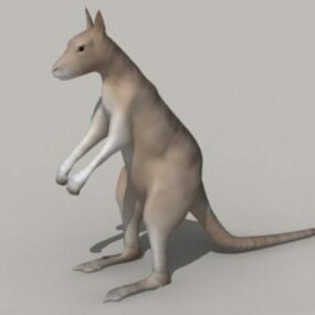 אוסטרליה בעלי חיים קנגורו דגם תלת מימד