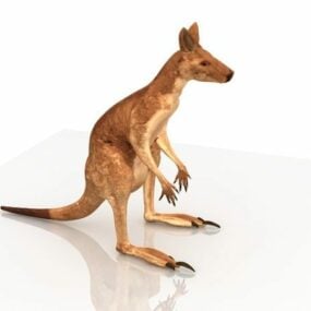 3д модель животного Австралии: Красный кенгуру