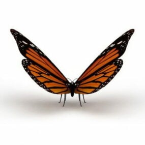 Papillon belle dame australienne modèle 3D