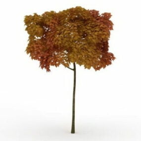 مدل سه بعدی درخت پاییزی