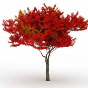 Model 3d Pokok Maple Api Musim Gugur