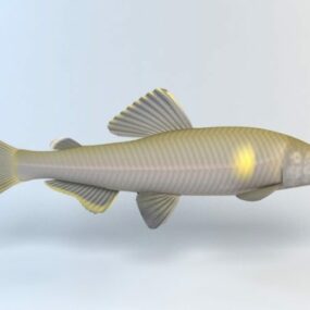 은어 물고기 3d 모델