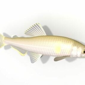 Model 3D Ayu Sweetfish