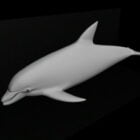 Малыш Дельфин