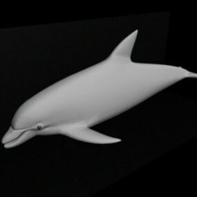 Modello 3d del piccolo delfino