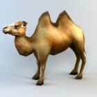 Bactrian Camel Animated & Rig