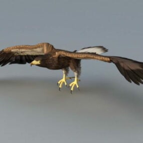 Model 3D Bald Eagle Rig