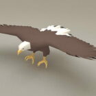 Bald Eagle Wings