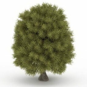 Bald Cypress Tree 3d-malli