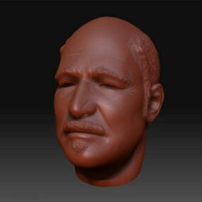 Bald Head Sculpt Mesh 3D-malli