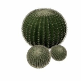 Modello 3d del cactus palla