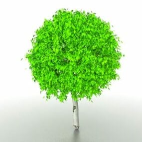 Ball Topiary Tree Nature 3d model
