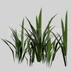 Bambu gräs
