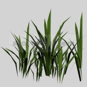 Modello 3d dell'erba di bambù