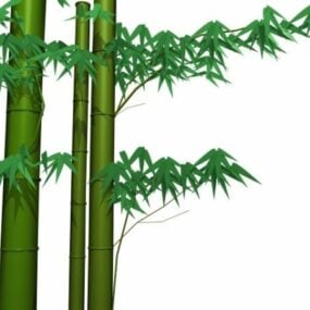 Bamboe en bladeren 3D-model