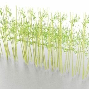 Bamboo Forest 3d model