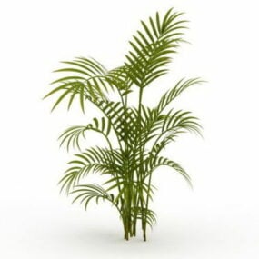 Planta de palma de bambú modelo 3d