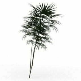 3D model bambusové palmy