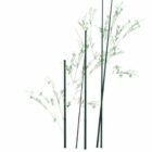 Bambusowa Roślina