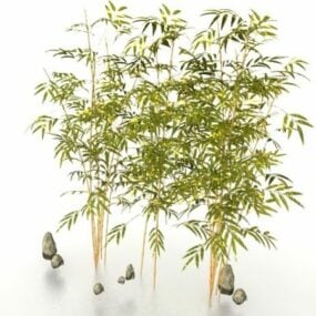Bambusplanter for hage 3d-modell