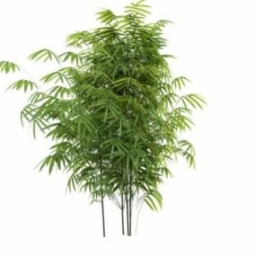 Bambusoideae Bamboo 3d-modell