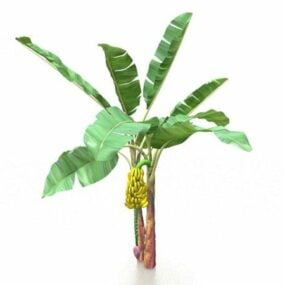 3д модель бананового растения