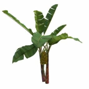 Bananenboom met fruit 3D-model