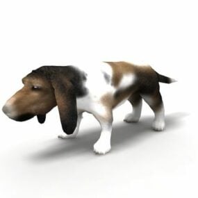 Asia Basset Hound Dog Animal 3d model
