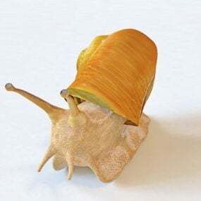 美丽的蜗牛3d模型