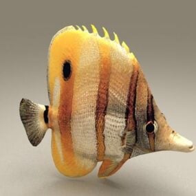 Modelo 3d de peces tropicales coloridos