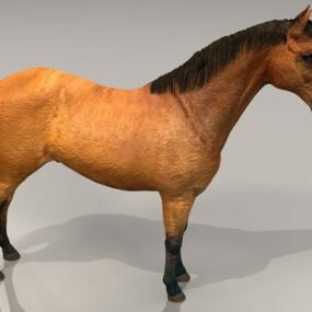 โมเดล 3 มิติสัตว์ม้าที่สวยงาม