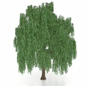 Model 3d Weeping Willow Tree yang cantik