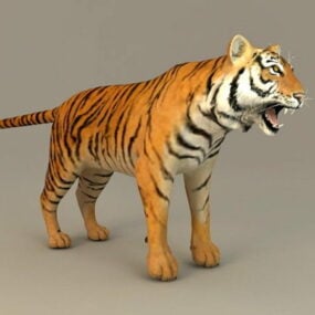 Wild Bengal Tiger 3d model