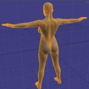 Ciało dziewczyny Rigged Model postaci 3D
