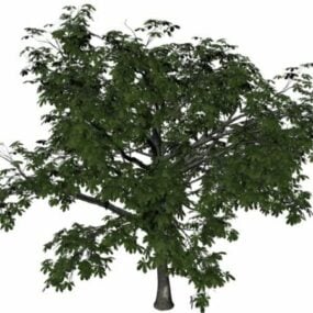 مدل سه بعدی درخت شاه بلوط بزرگ