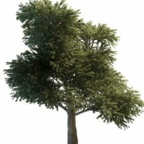 نموذج الشجرة الكبيرة ثلاثي الأبعاد