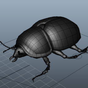 Model 3d Karakter Rig Kumbang Rumput Hitam