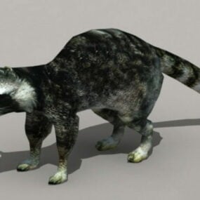 Black Raccoon 3d model