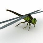 Animale nero verde libellula