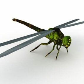نموذج حيوان اليعسوب الأسود والأخضر ثلاثي الأبعاد