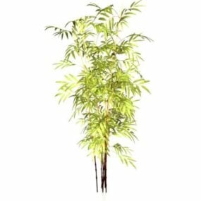 Black Bamboo Plants 3d-malli
