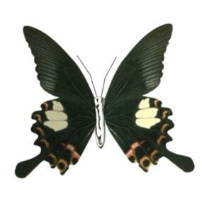 Чорний метелик тварина 3d модель