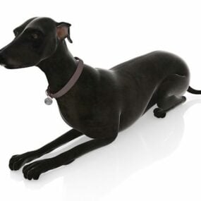 黒い犬の動物3Dモデル