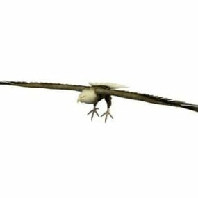 Black Eagle Bird Animal דגם תלת מימד