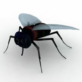 Modello 3d della mosca nera selvaggia