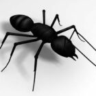 Hormiga negra de jardín animal