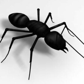 ब्लैक गार्डन चींटी पशु 3डी मॉडल