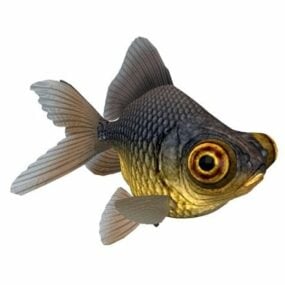 3д модель животного Золотая рыбка Черная мавра