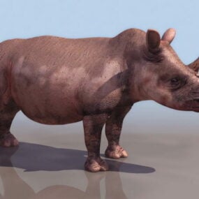 Hitam Afrika Rhino 3d model