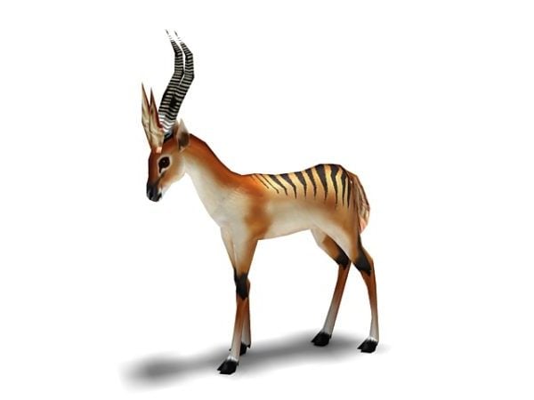 Black Striped Gazelle Animal Free 3d Model Max Vray Open3dmodel